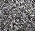 Sunflower Seeds 1