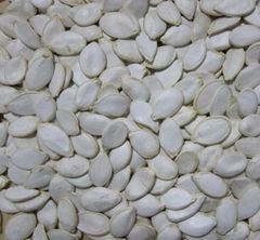 Snow White Pumpkin Seeds