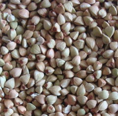 Buckwheat Kernel Raw