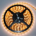 led flexible strips