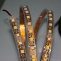 SMD3528 LED strips 5