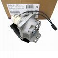 9E08001001 Projector Lamp 1