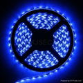 5050SMD LED Strip RGB 2