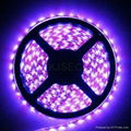 5050SMD LED Strip RGB 5