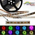 3528SMD LED Strip RGB 1