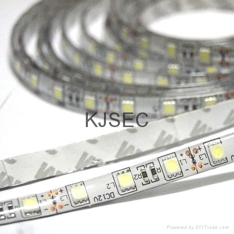 5050SMD LED Strip Cool White 2