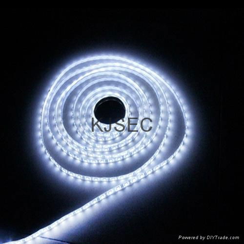 5050SMD LED Strip Cool White 3