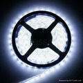 5050SMD LED Strip Cool White 4