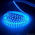 5050SMD LED Strip Blue 1