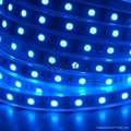 5050SMD LED Strip Blue 2