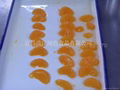 canned mandarin orange in light syrup 1