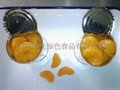 canned mandarin orange in light syrup 2