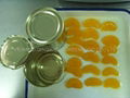 canned mandarin orange in light syrup