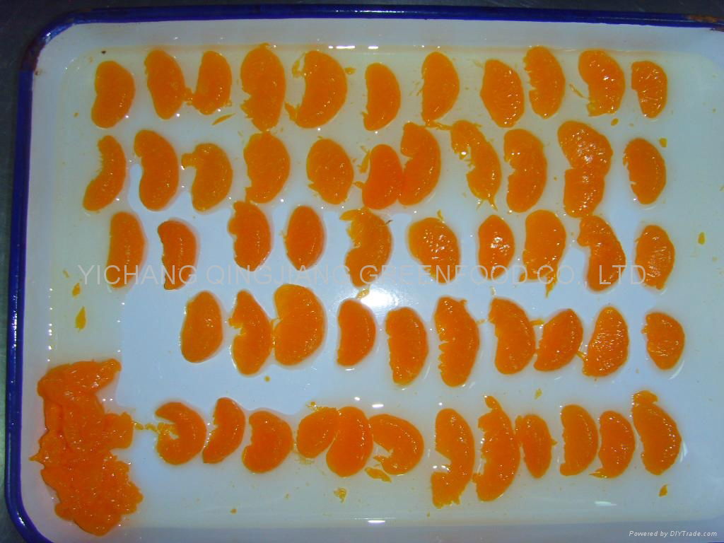 canned mandarin orange in light syrup 3