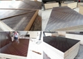 Film Faced Plywood 2