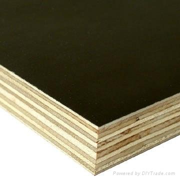 Film Faced Plywood