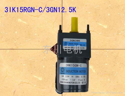 Constant speed motor 2