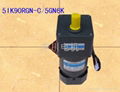 Gear motor 5