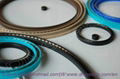 spring energized seal