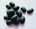 Black soybean hull extract 1