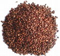 Grape seed extract 2