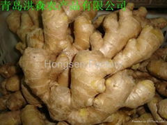 Air-dry Ginger