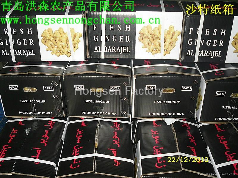 50g up Fresh & Air-dry Ginger 4