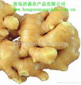 250g up Fresh & Air-dry Ginger