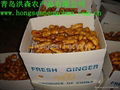 250g up Fresh & Air-dry Ginger 2