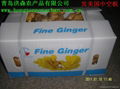 250g up Fresh & Air-dry Ginger 4