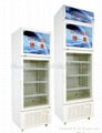 SUPPLYING VERTICAL SHOWCASE FREEZER