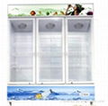 THREE DOOR VERTICAL SHOWCASE FREEZER 1