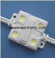 Waterproof 4-LED Module 01 1