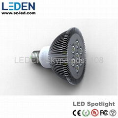 LED PAR30/38 AR111 lamp CE&ROHS