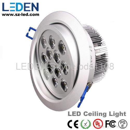 LED down light CE&ROHS