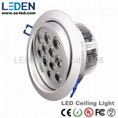 LED down light CE&ROHS