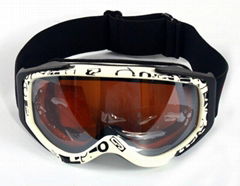 Ski Goggle