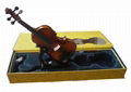 VIOLIN 1