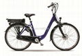 Electric power assisted bicycle 1