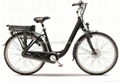 Electric power assisted bicycle 2