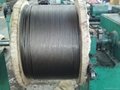 Steel wire ropes for elevator
