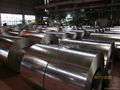 Galvanized metal sheet