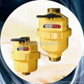 Volumetric Rotary Piston Water Meter 1