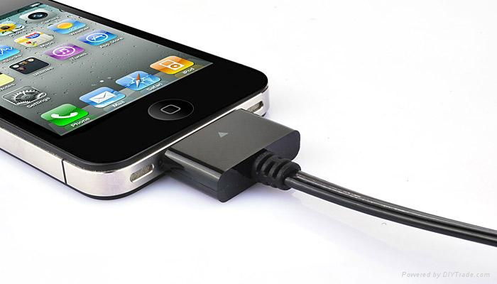 NEW Visible Blue Flashing Sync Charge Cable for iPhone,iPad and iPod 2