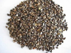 Buckwheat