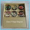 Fridge Magnet 4