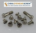 Optical Eyewire and Hinge Screw