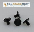 Black Oxided Stainless Steel Micro Hex Screw 1