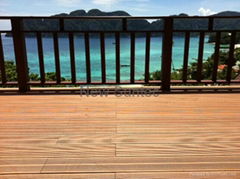 WPC Outdoor Decking (Railing)