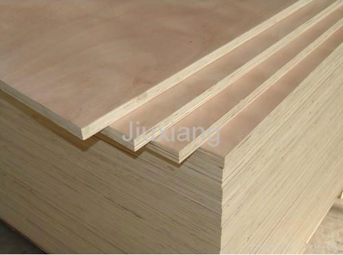 Poplar Core Film Faced Plywood 3